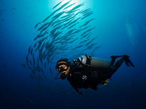 Shark and Yolanda photos - female diver smiling at the camera with Schooling Barracuda in the blue water behind her