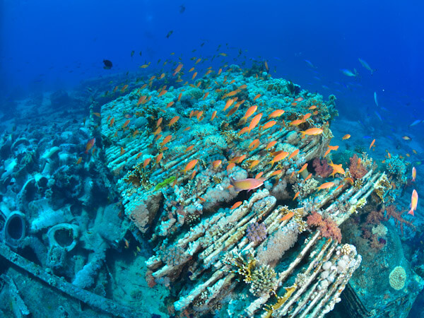 Cargo of the Yolanda
