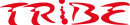 Tribe transparent Tribe shop logo